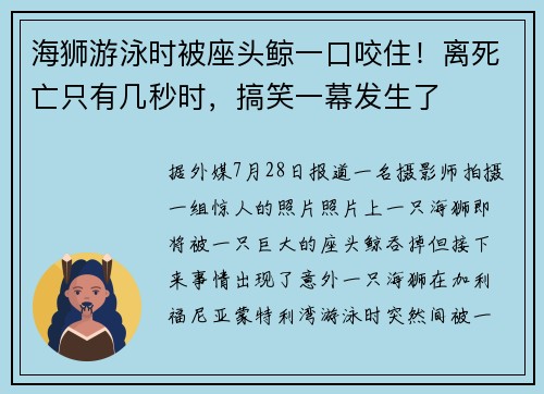 海狮游泳时被座头鲸一口咬住！离死亡只有几秒时，搞笑一幕发生了