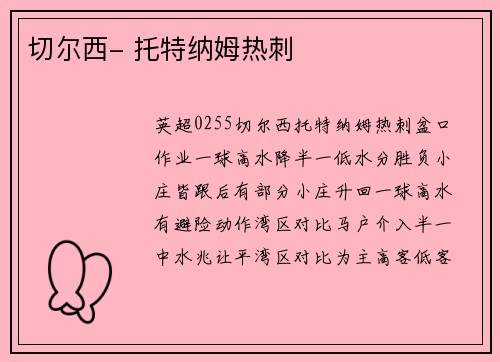 切尔西- 托特纳姆热刺